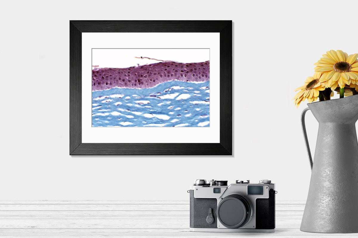 Shown hanging in a room: Modern 14"x12" (36x31cm)