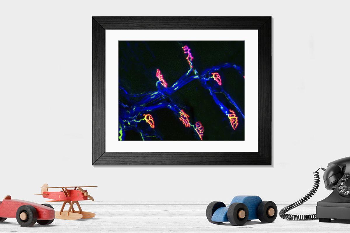 Shown hanging in a room: Modern 14"x12" (36x31cm)