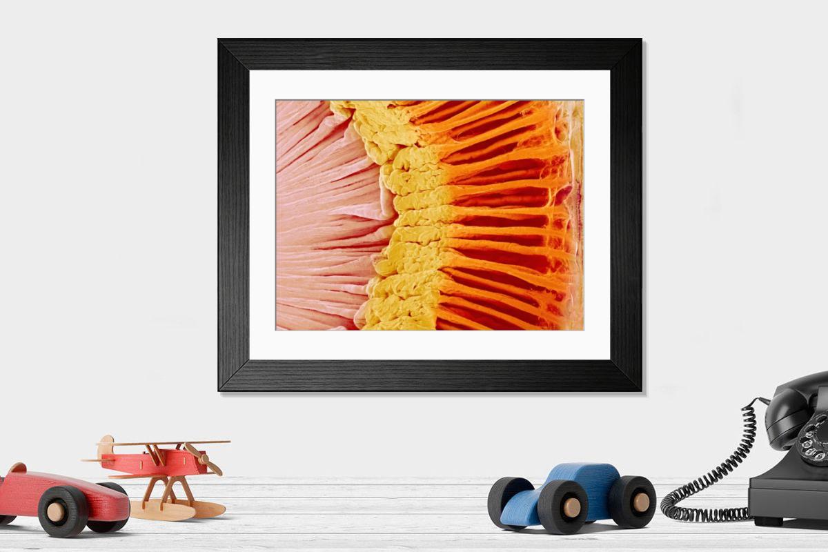 Shown hanging in a room: Modern 14"x12" (36x31cm)