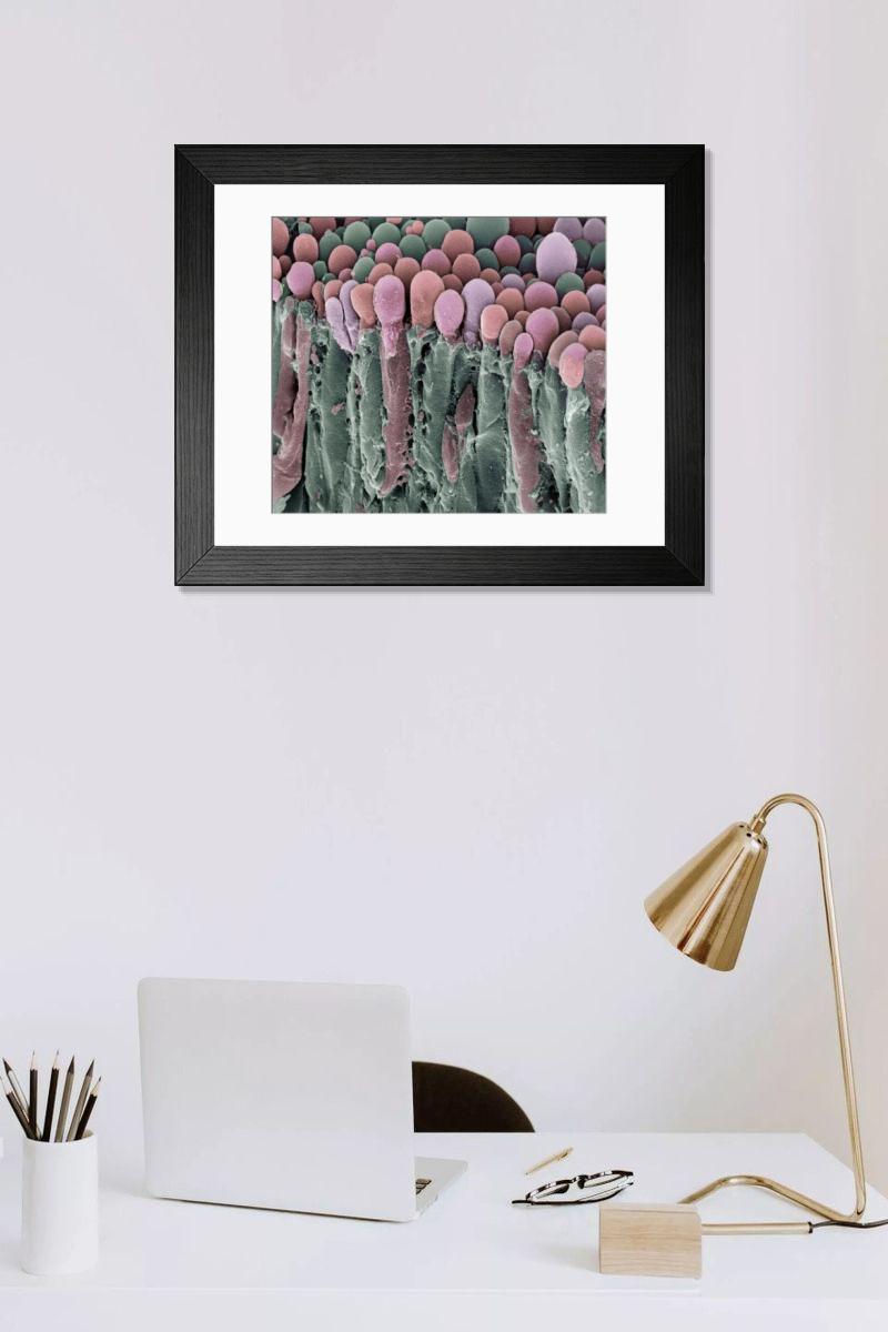 Shown hanging in a room: Modern 14"x12" (36x31cm)