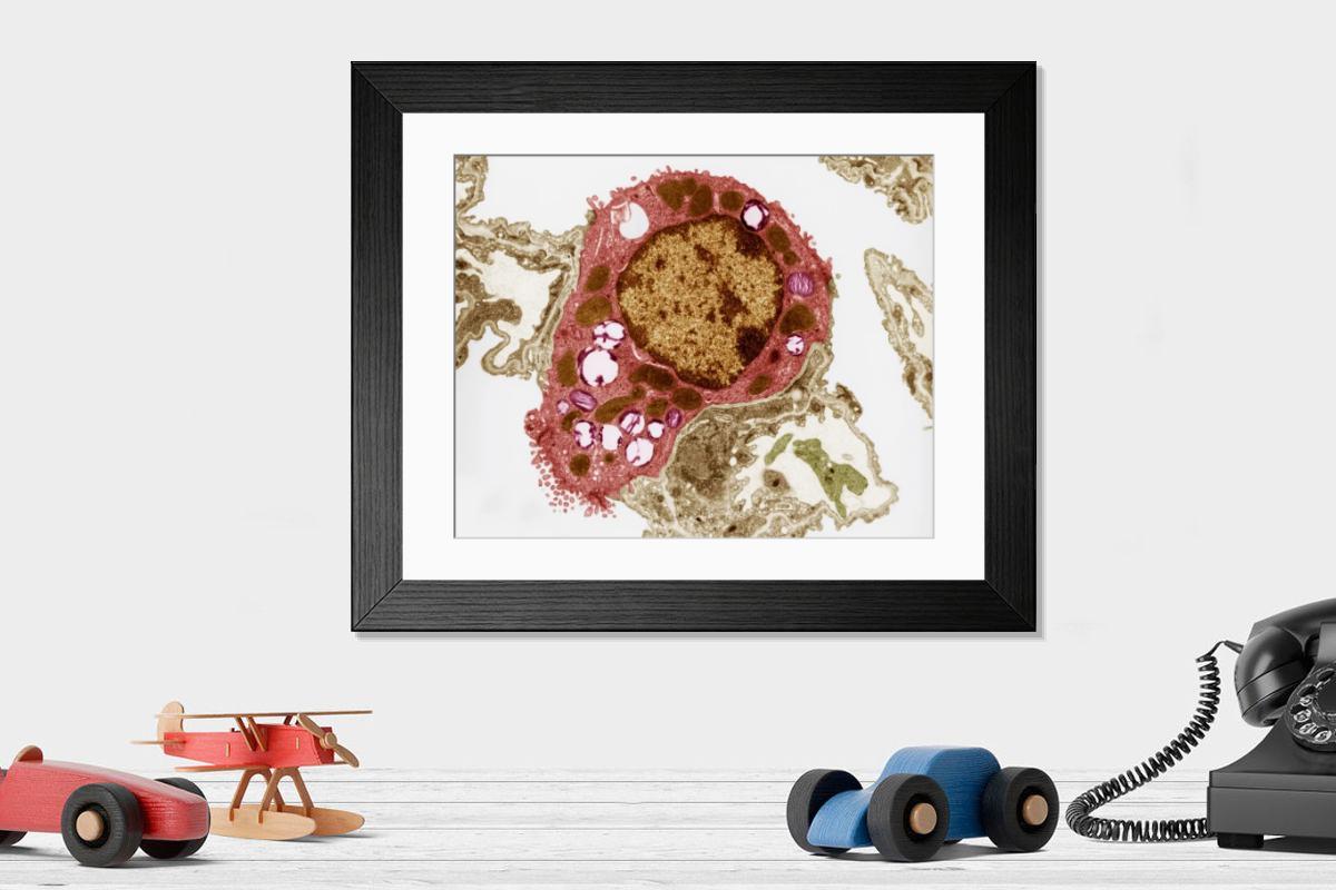 Shown hanging in a room: Modern 14"x12" (36x31cm)