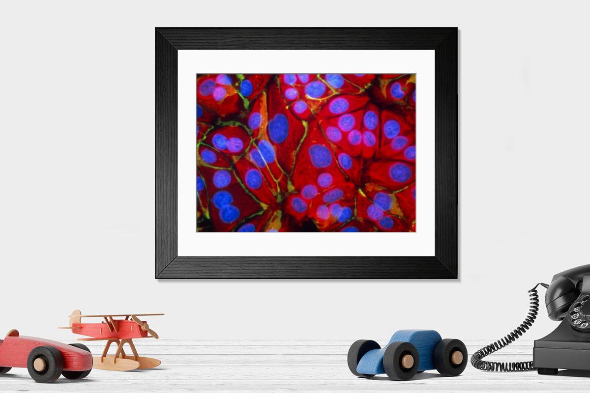 Shown hanging in a room: Modern 14"x12" (36x31cm)