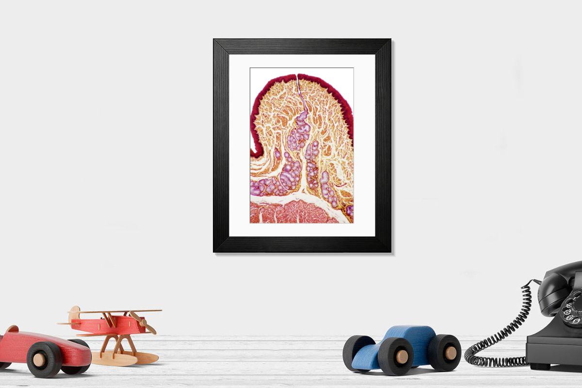 Shown hanging in a room: Modern 14"x12" (36x31cm)