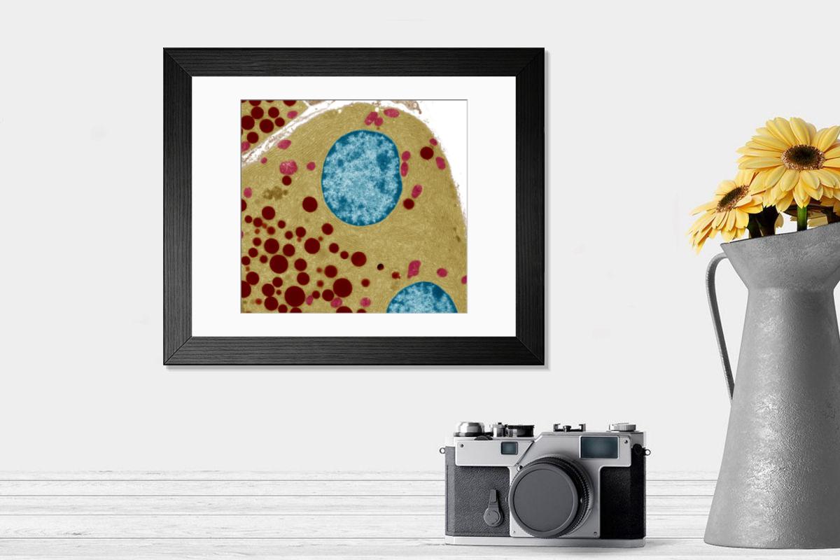 Shown hanging in a room: Modern 14"x12" (36x31cm)