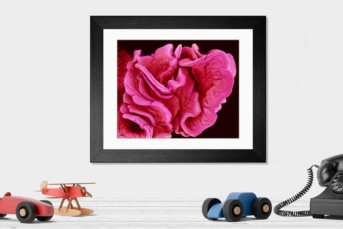 Shown hanging in a room: Modern 14"x12" (36x31cm)
