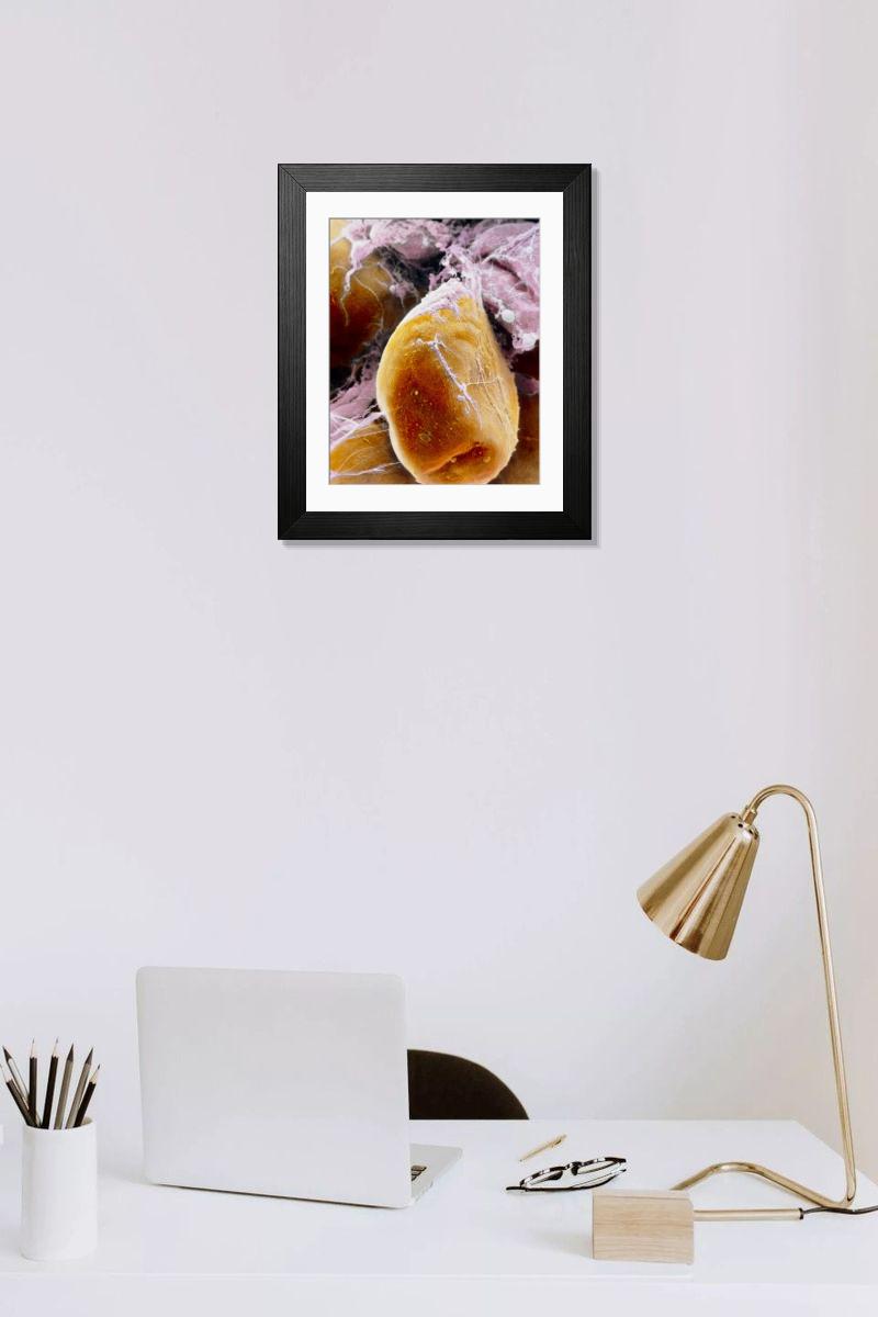 Shown hanging in a room: Modern 14"x12" (36x31cm)