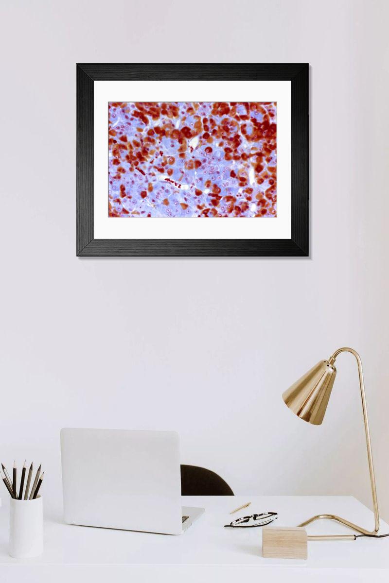 Shown hanging in a room: Modern 14"x12" (36x31cm)
