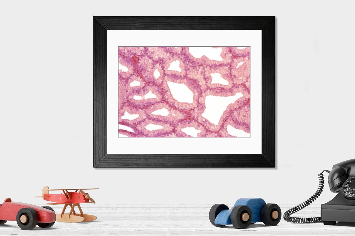 Shown hanging in a room: Modern 14"x12" (36x31cm)