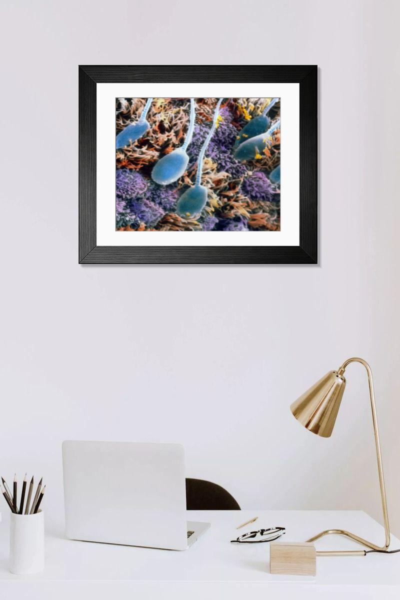 Shown hanging in a room: Modern 14"x12" (36x31cm)