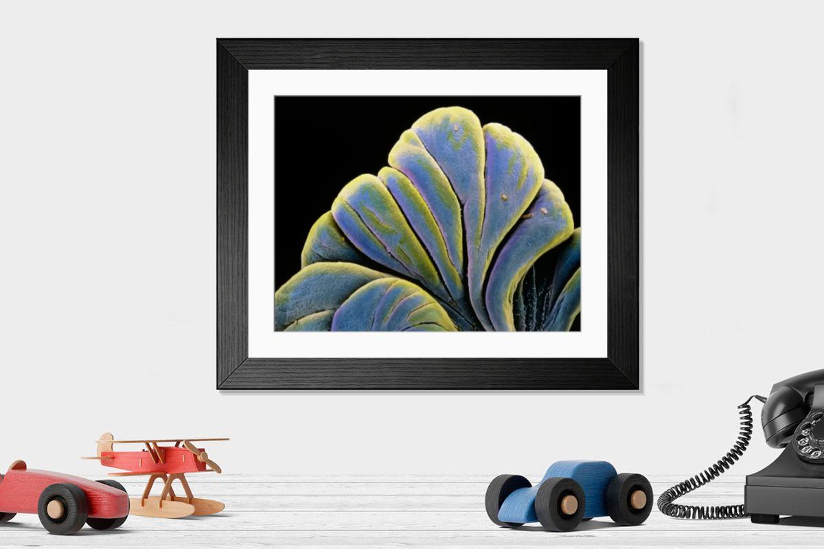 Shown hanging in a room: Modern 14"x12" (36x31cm)