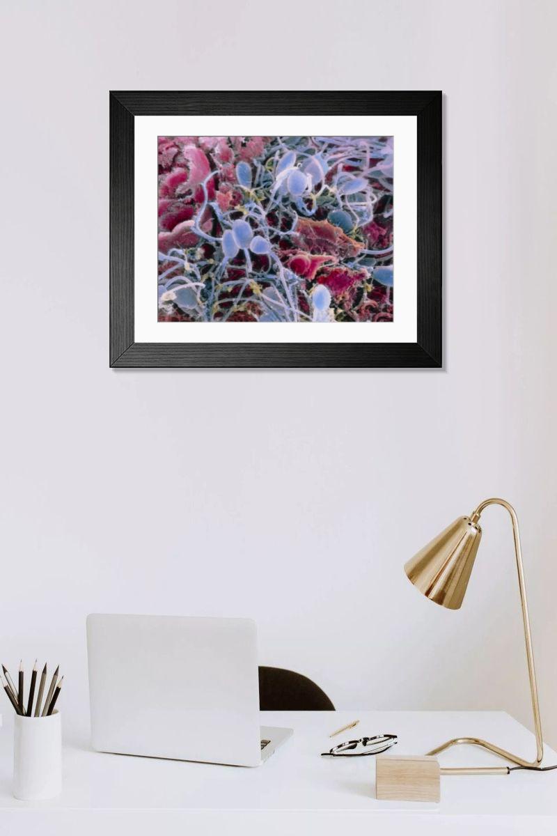 Shown hanging in a room: Modern 14"x12" (36x31cm)