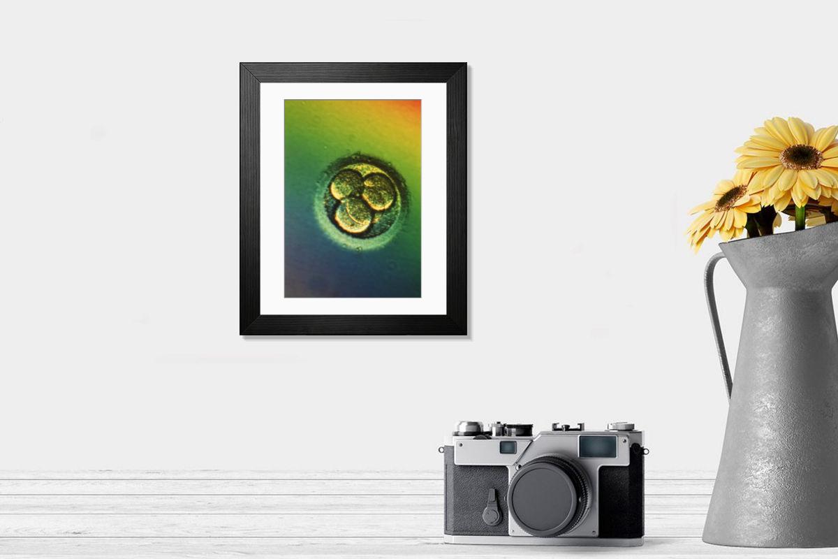 Shown hanging in a room: Modern 14"x12" (36x31cm)
