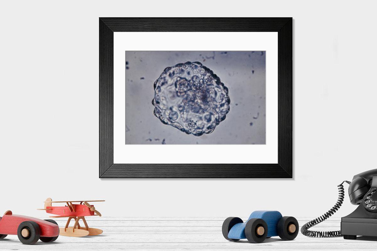 Shown hanging in a room: Modern 14"x12" (36x31cm)