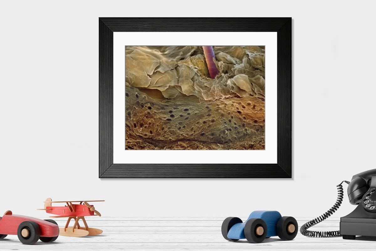 Shown hanging in a room: Modern 14"x12" (36x31cm)