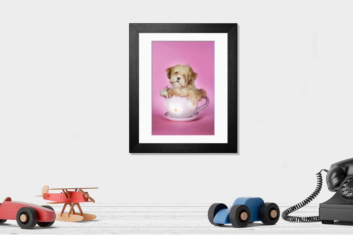 product preview 0