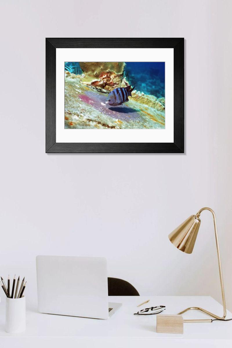 Shown hanging in a room: Modern 14"x12" (36x31cm)