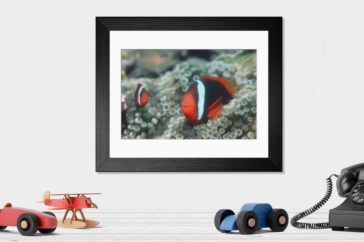 Shown hanging in a room: Modern 14"x12" (36x31cm)