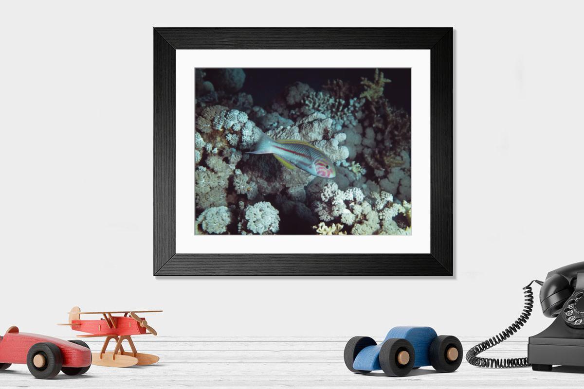 Shown hanging in a room: Modern 14"x12" (36x31cm)