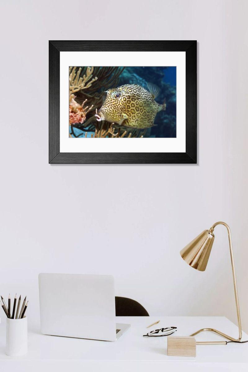 Shown hanging in a room: Modern 14"x12" (36x31cm)