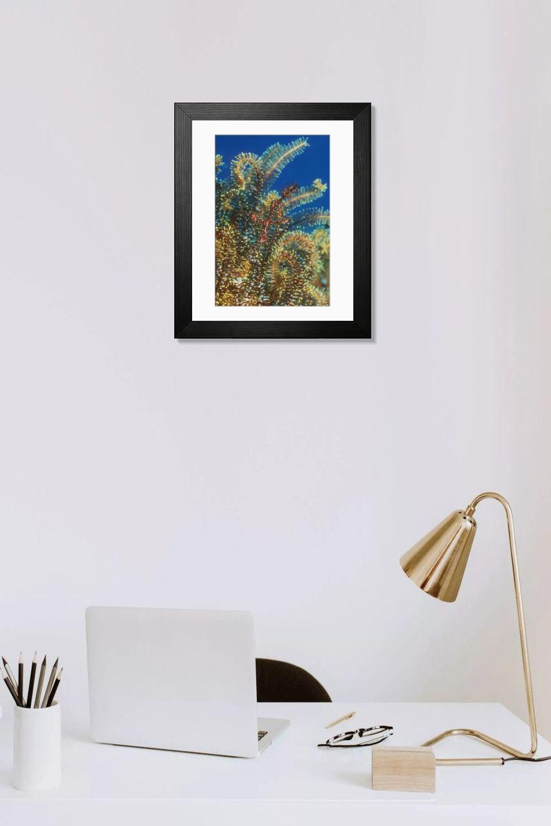 Shown hanging in a room: Modern 14"x12" (36x31cm)