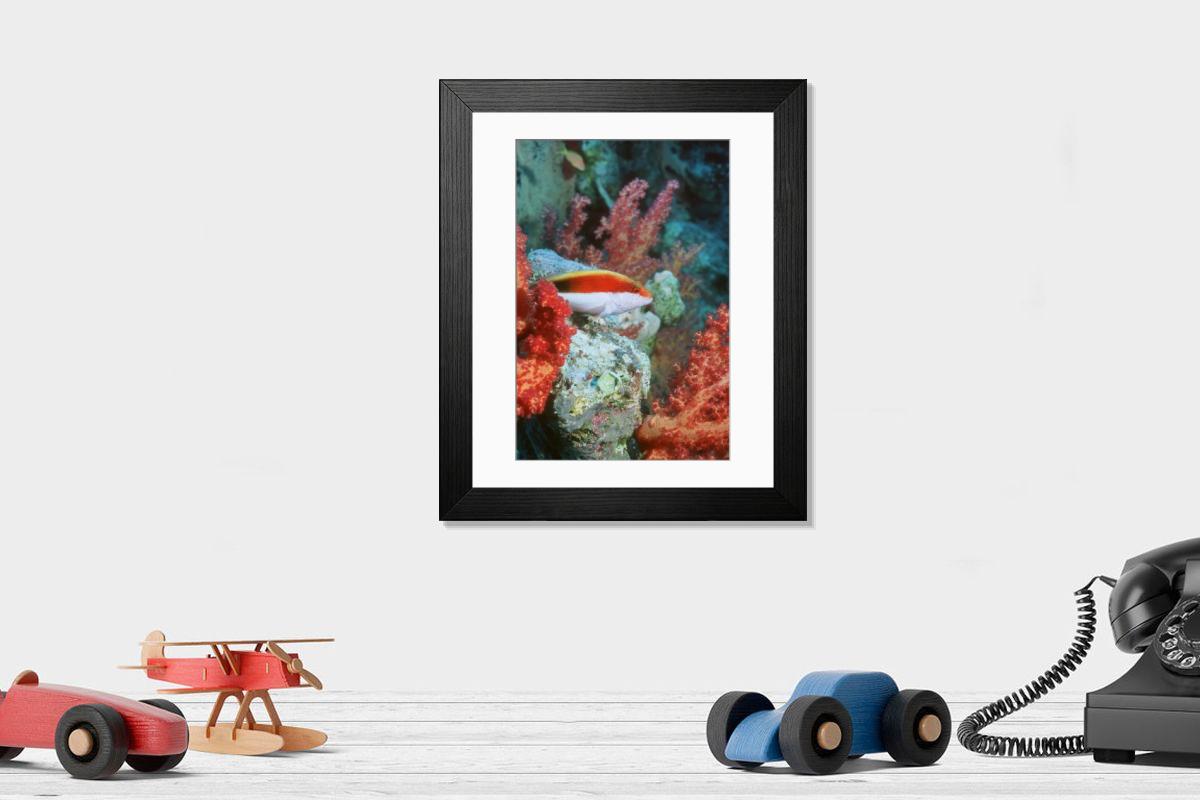 Shown hanging in a room: Modern 14"x12" (36x31cm)