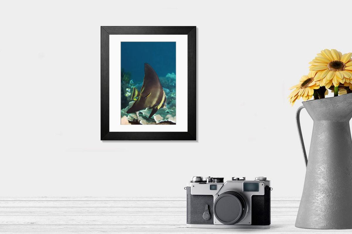 Shown hanging in a room: Modern 14"x12" (36x31cm)