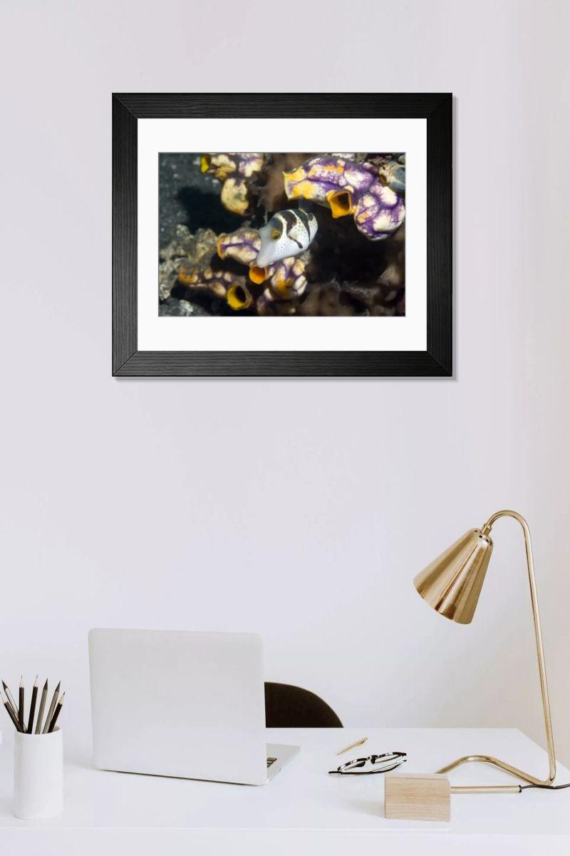 Shown hanging in a room: Modern 14"x12" (36x31cm)