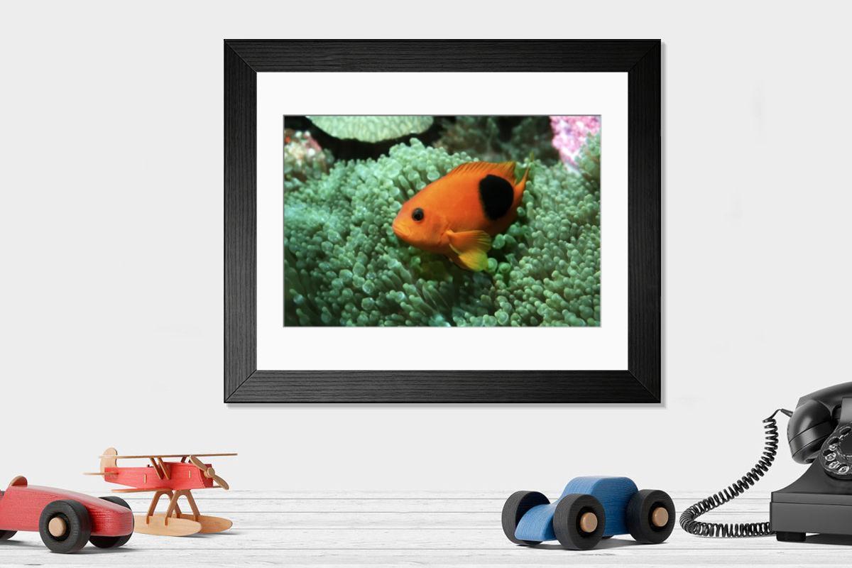 Shown hanging in a room: Modern 14"x12" (36x31cm)