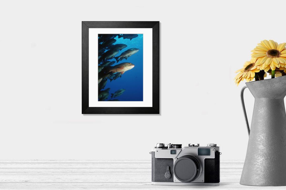 Shown hanging in a room: Modern 14"x12" (36x31cm)