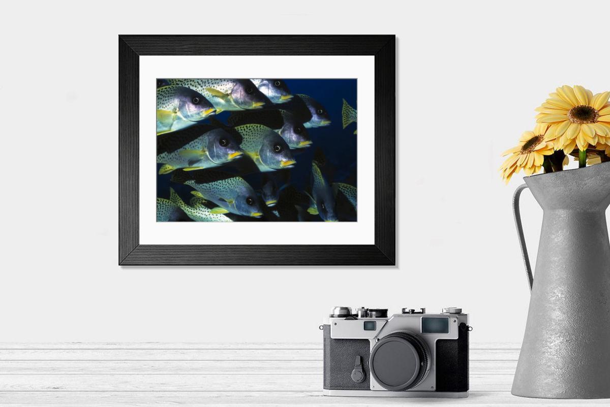 Shown hanging in a room: Modern 14"x12" (36x31cm)