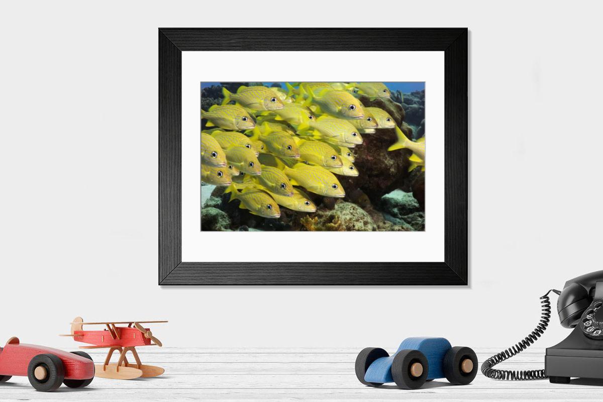 Shown hanging in a room: Modern 14"x12" (36x31cm)
