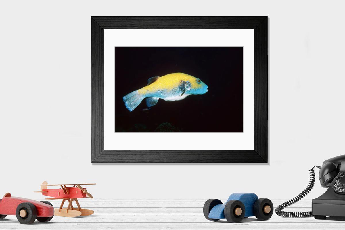 Shown hanging in a room: Modern 14"x12" (36x31cm)