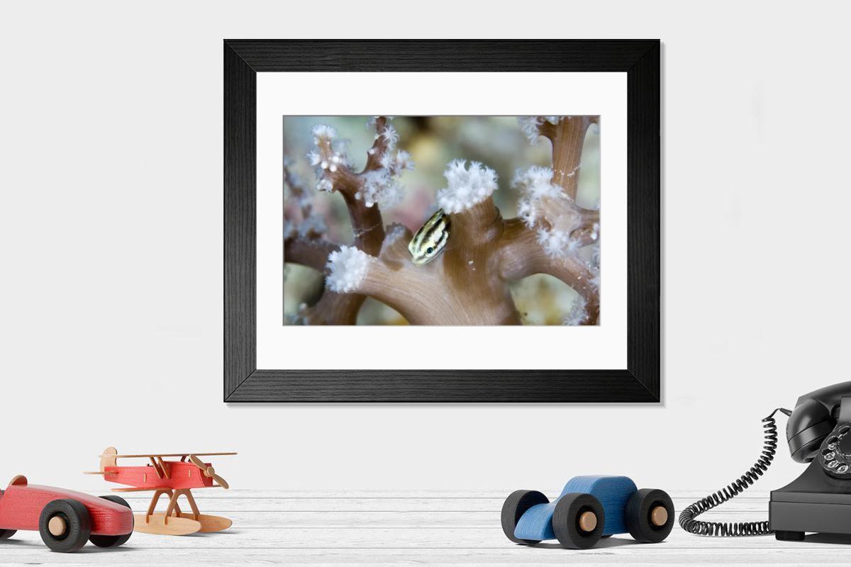 Shown hanging in a room: Modern 14"x12" (36x31cm)