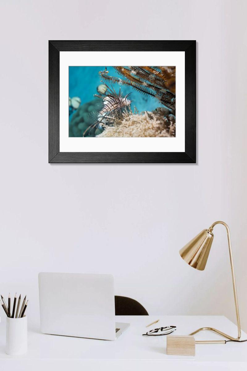 Shown hanging in a room: Modern 14"x12" (36x31cm)