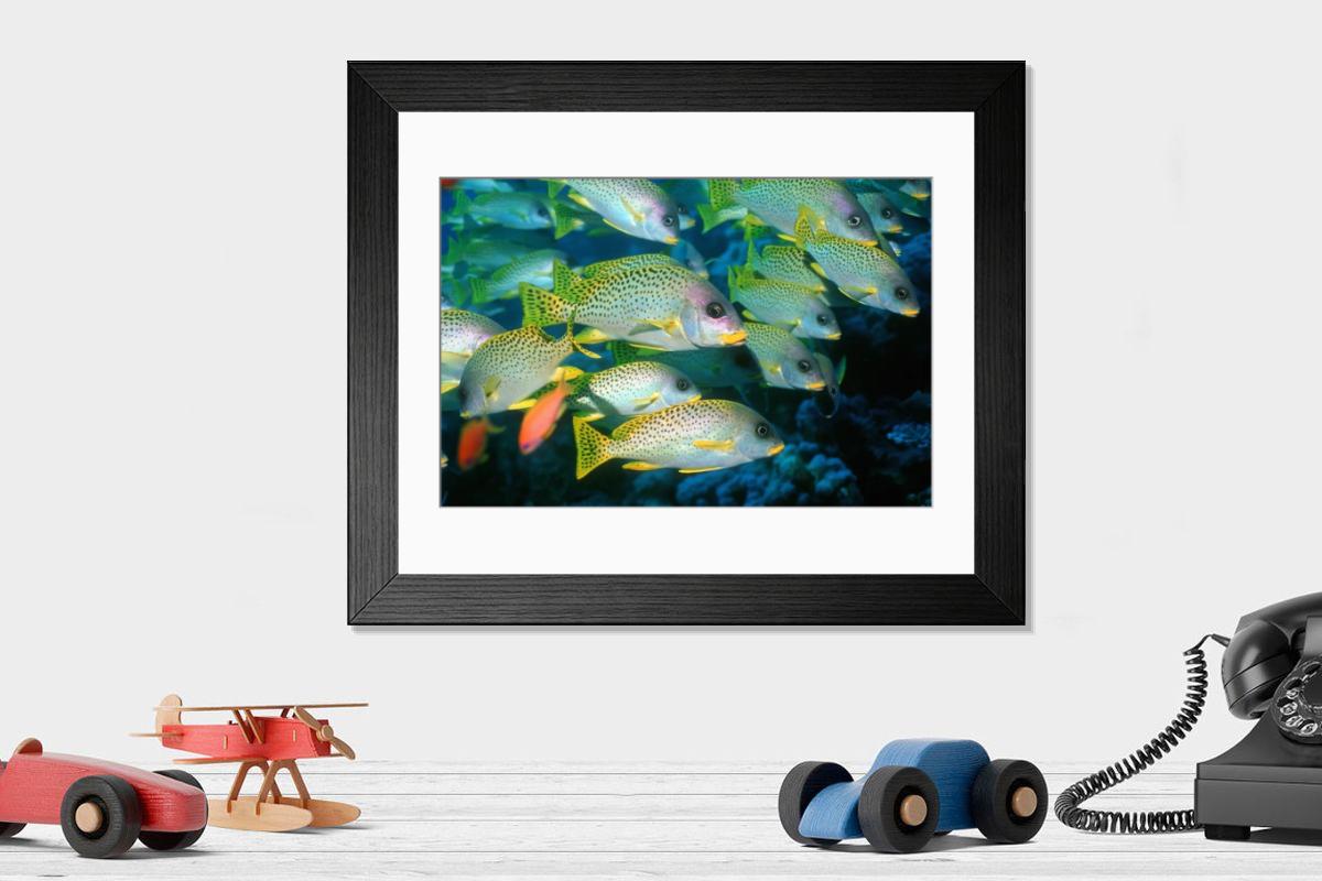 Shown hanging in a room: Modern 14"x12" (36x31cm)