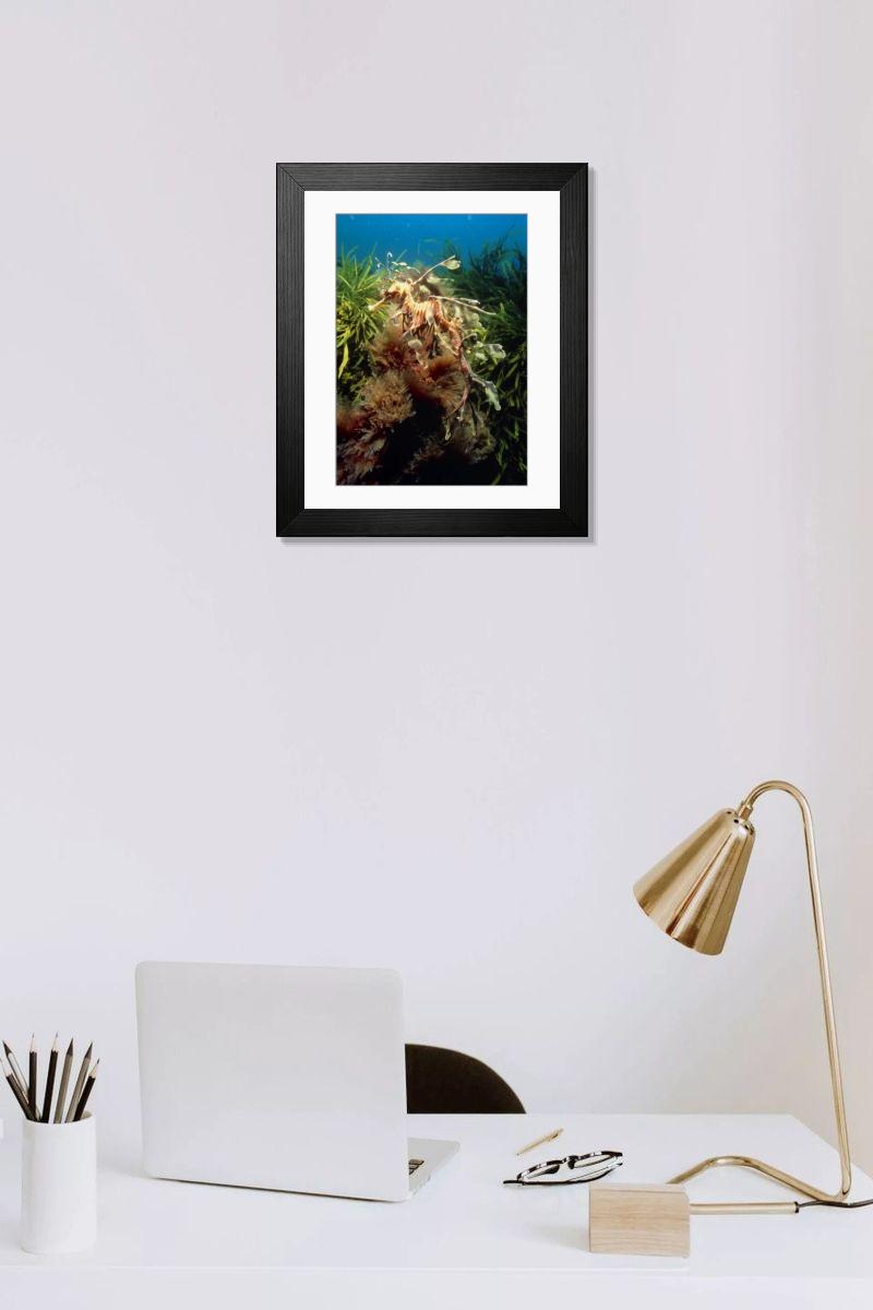 Shown hanging in a room: Modern 14"x12" (36x31cm)