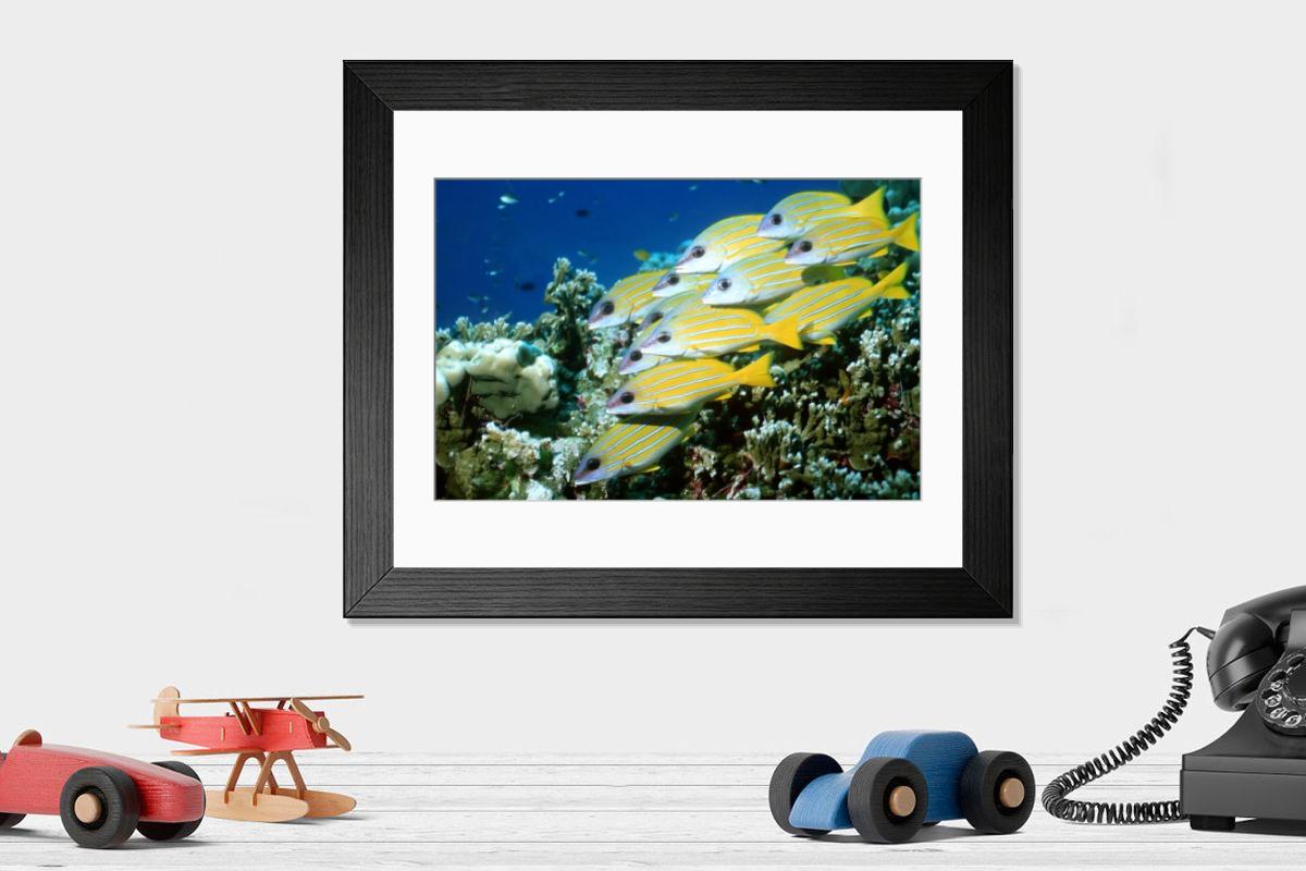 Shown hanging in a room: Modern 14"x12" (36x31cm)