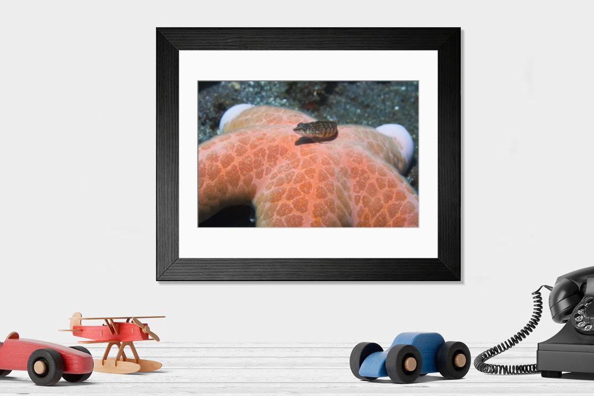 Shown hanging in a room: Modern 14"x12" (36x31cm)