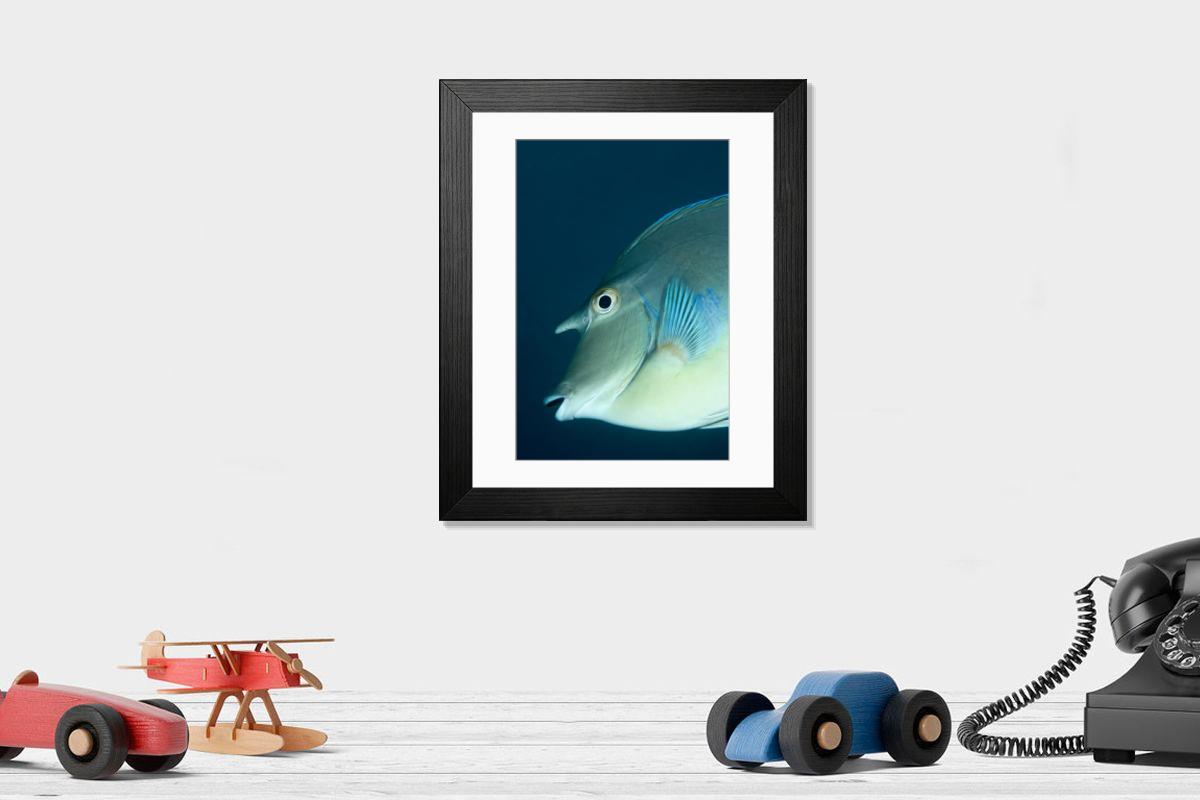 Shown hanging in a room: Modern 14"x12" (36x31cm)