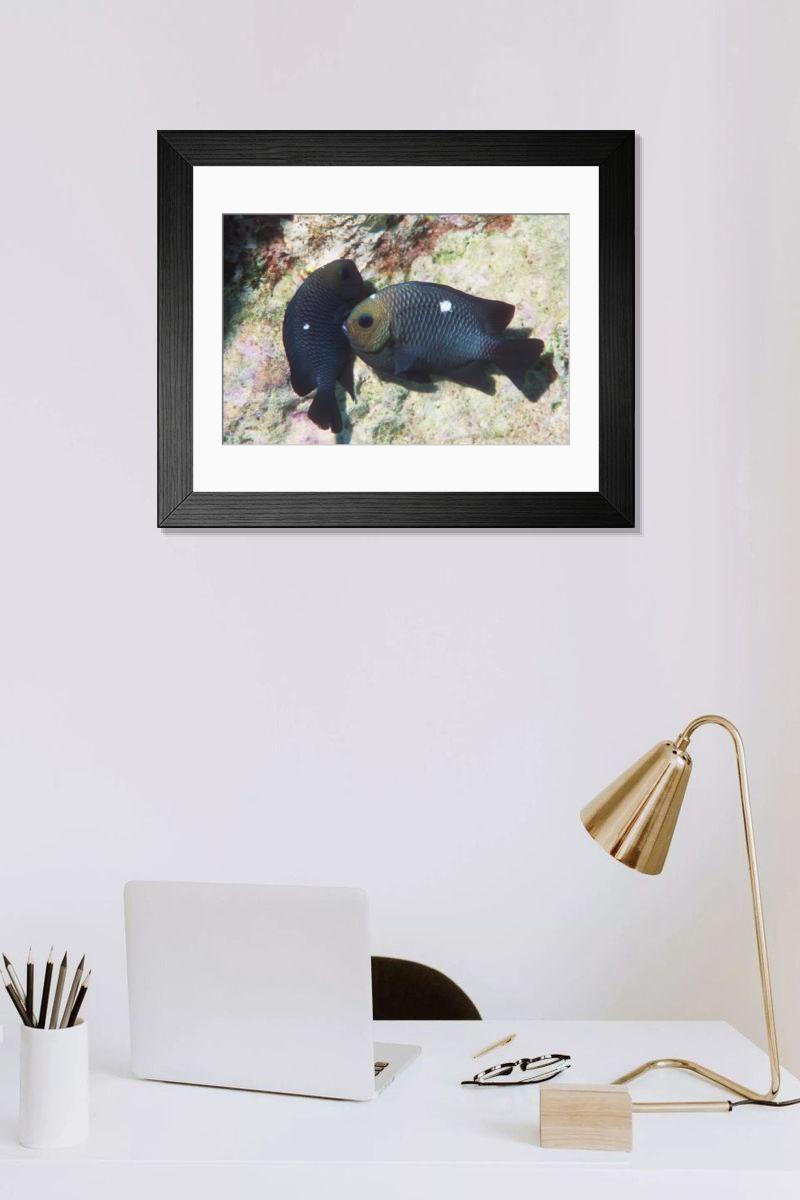 Shown hanging in a room: Modern 14"x12" (36x31cm)