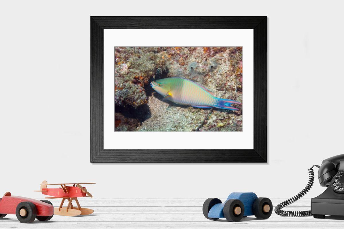 Shown hanging in a room: Modern 14"x12" (36x31cm)