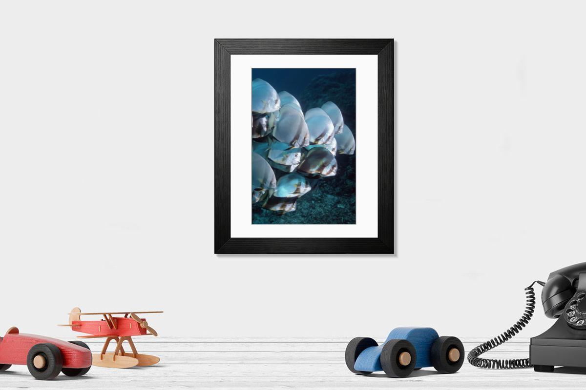Shown hanging in a room: Modern 14"x12" (36x31cm)