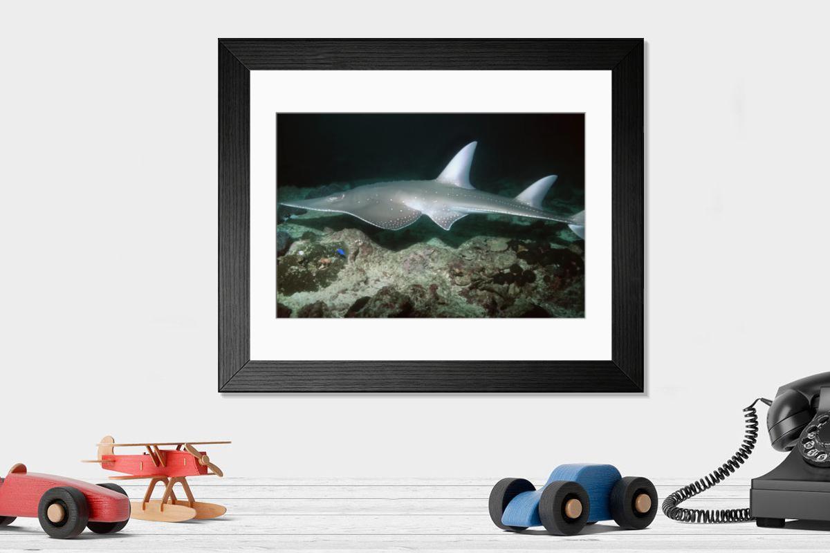Shown hanging in a room: Modern 14"x12" (36x31cm)