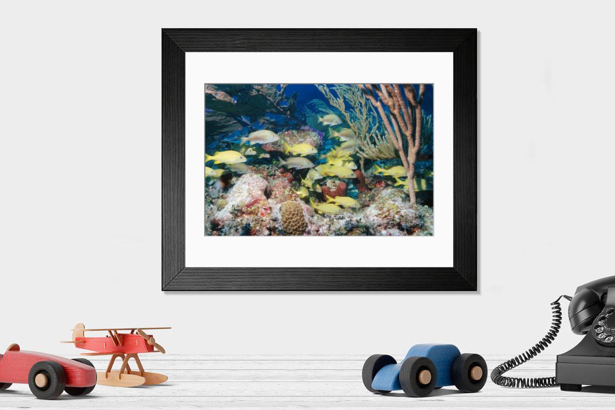 Shown hanging in a room: Modern 14"x12" (36x31cm)