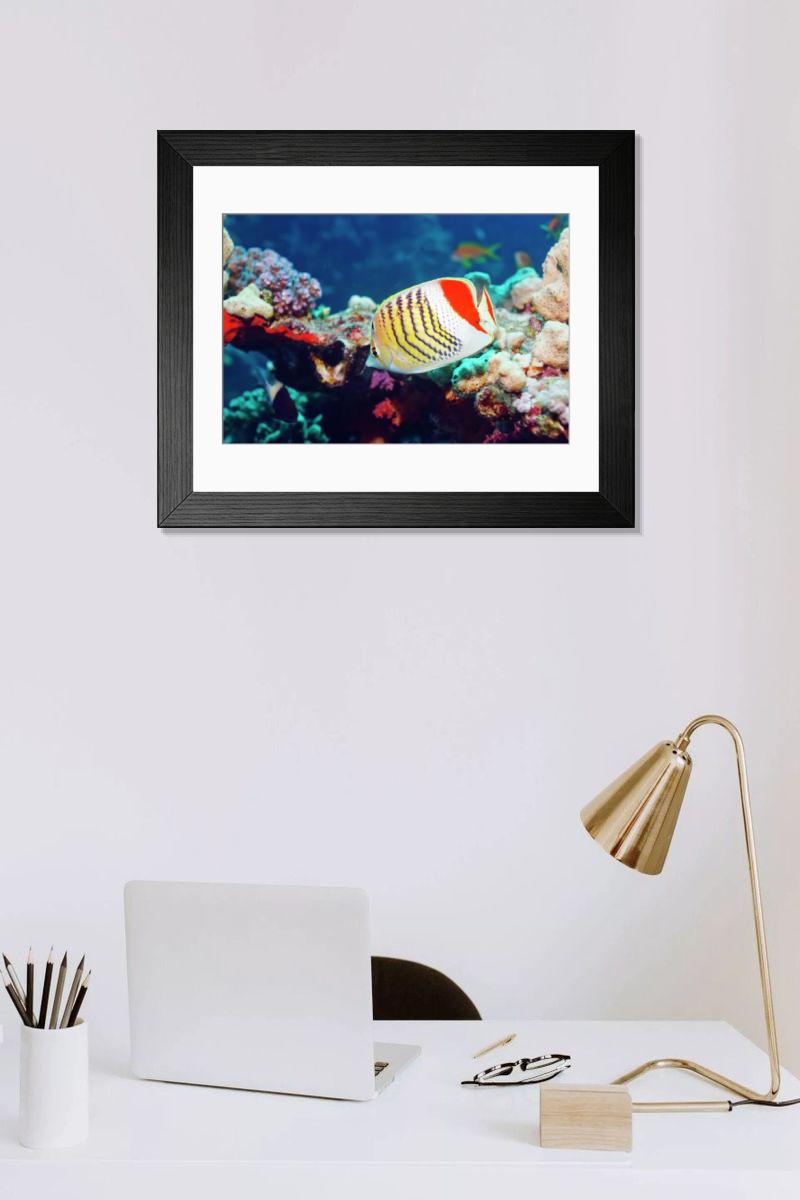 Shown hanging in a room: Modern 14"x12" (36x31cm)