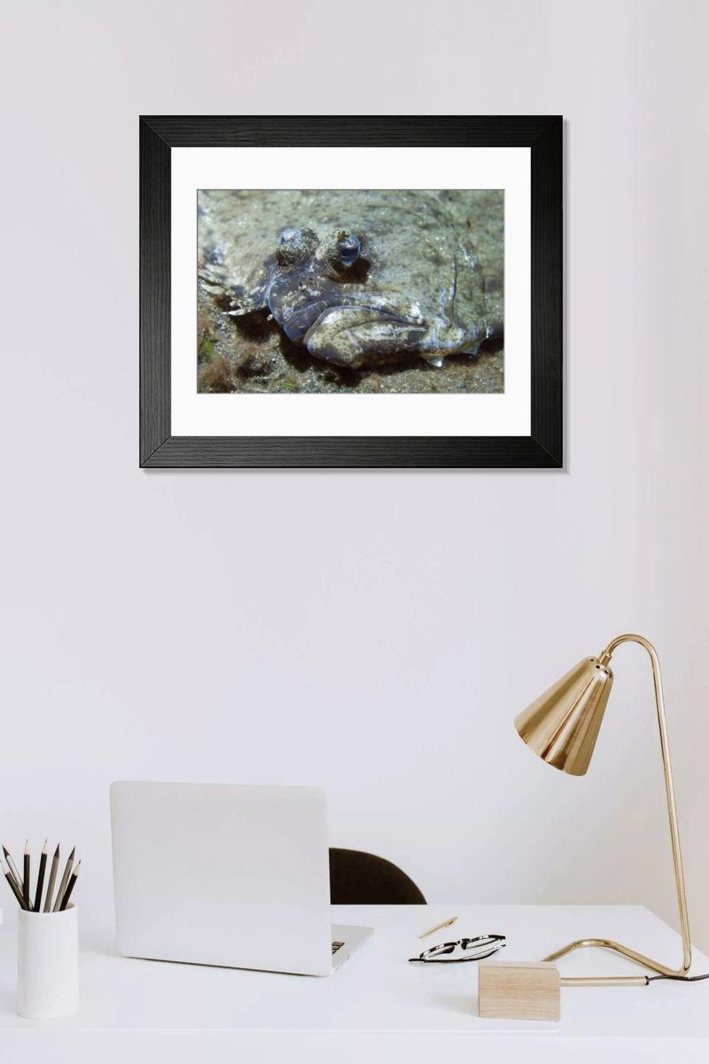 Shown hanging in a room: Modern 14"x12" (36x31cm)