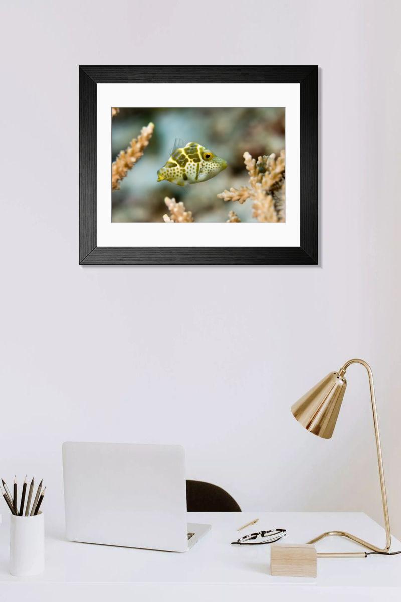 Shown hanging in a room: Modern 14"x12" (36x31cm)