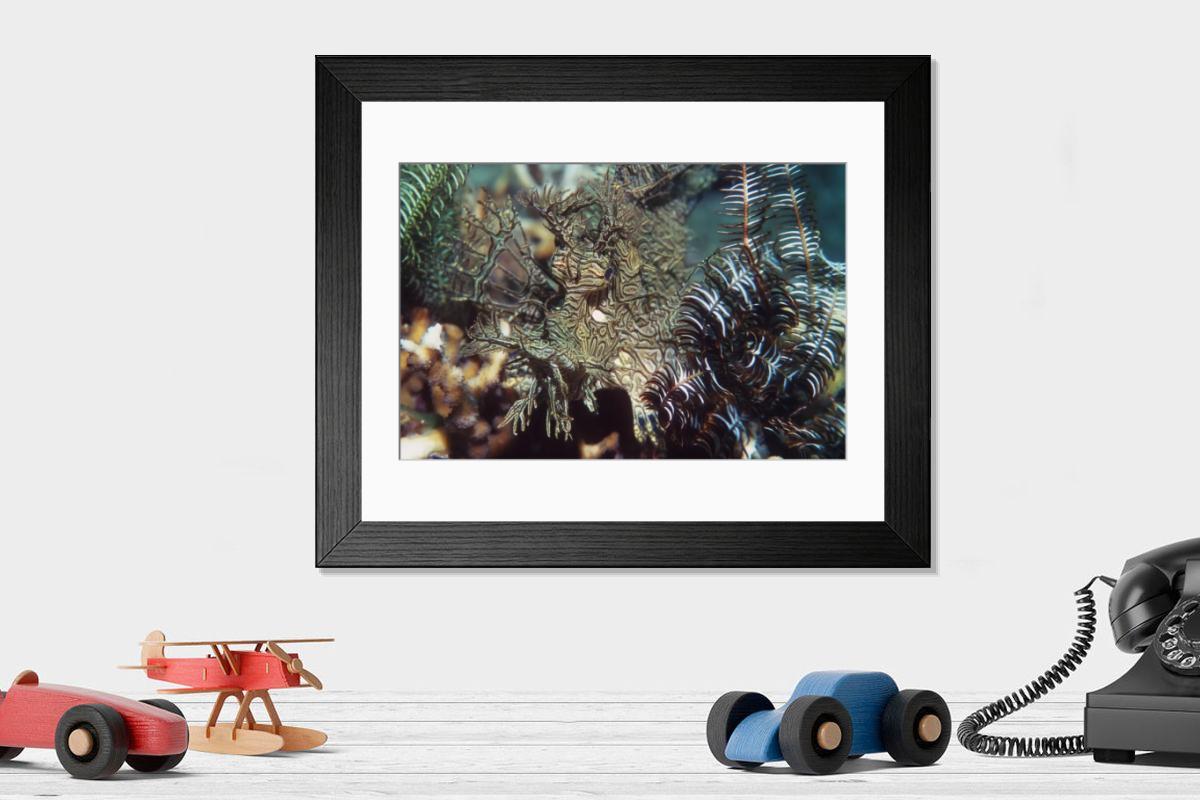 Shown hanging in a room: Modern 14"x12" (36x31cm)