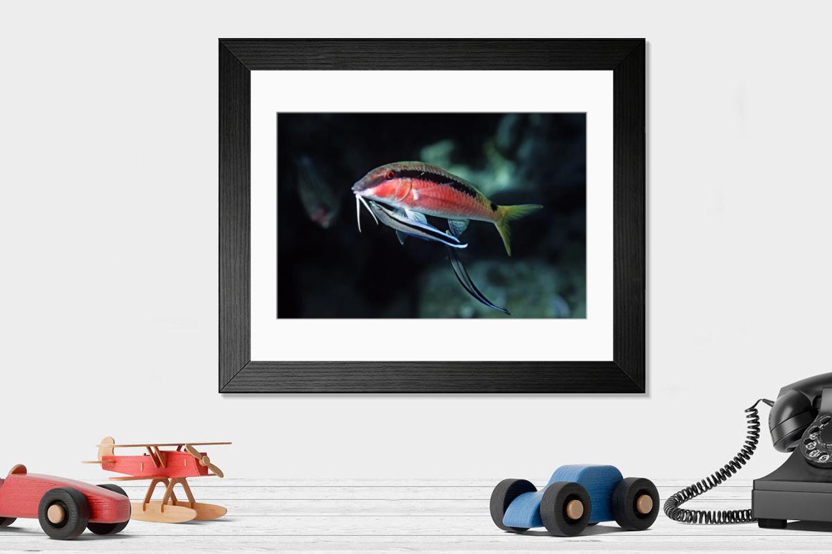 Shown hanging in a room: Modern 14"x12" (36x31cm)