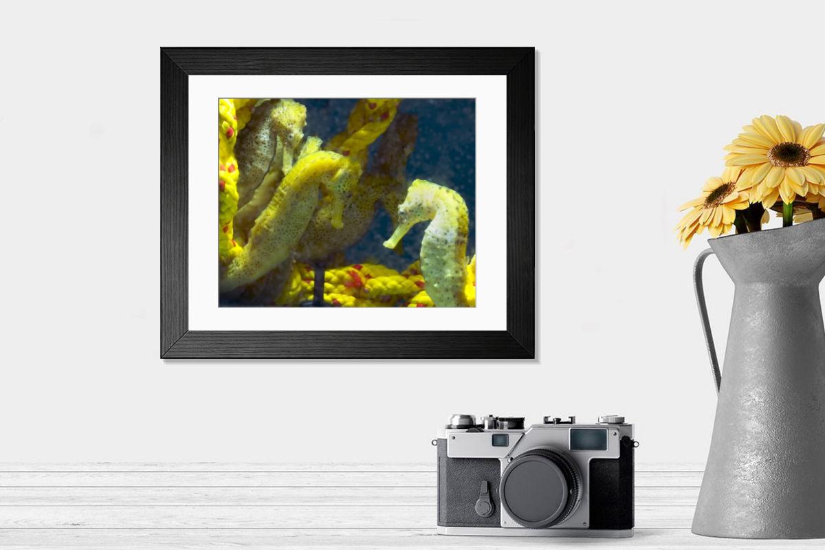 Shown hanging in a room: Modern 14"x12" (36x31cm)
